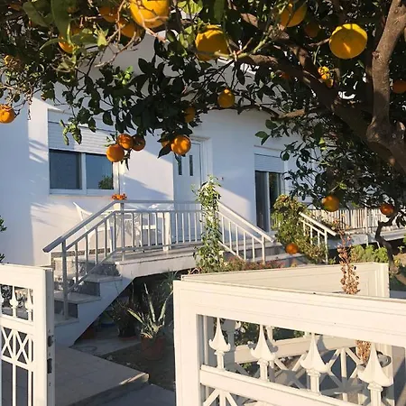 Lemon Tree's House Ferienhaus