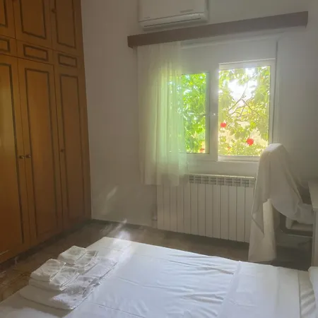 Lemon Tree's House *