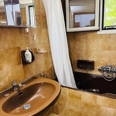 Lemon Tree's House *