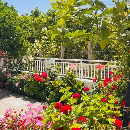 Ferienhaus Lemon Tree's House Kalavárda