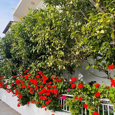 Ferienhaus Lemon Tree's House Kalavárda