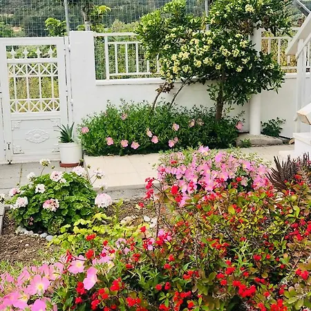 Lemon Tree's House Holiday home Kalavarda