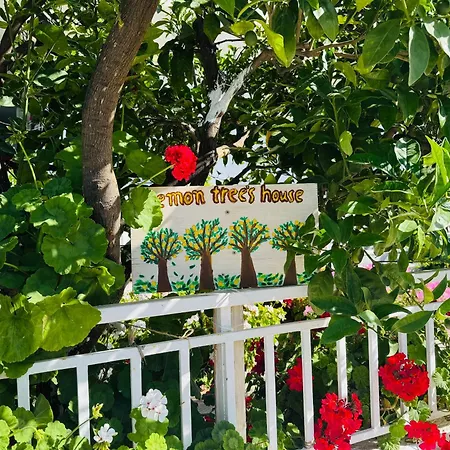 Lemon Tree's House *