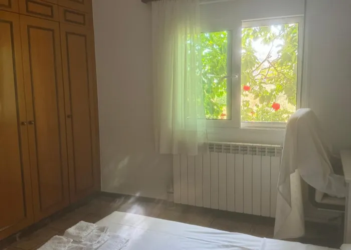 Lemon Tree's House *