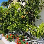 Lemon Tree's House *