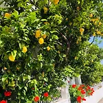 بيت للعطل Lemon Tree's House Kalavárda