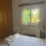 Lemon Tree's House *