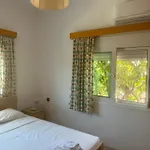 Lemon Tree's House بيت للعطل Kalavárda