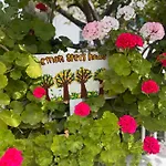 Lemon Tree's House 度假居