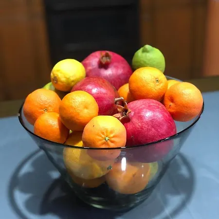 بيت للعطل Lemon Tree's House