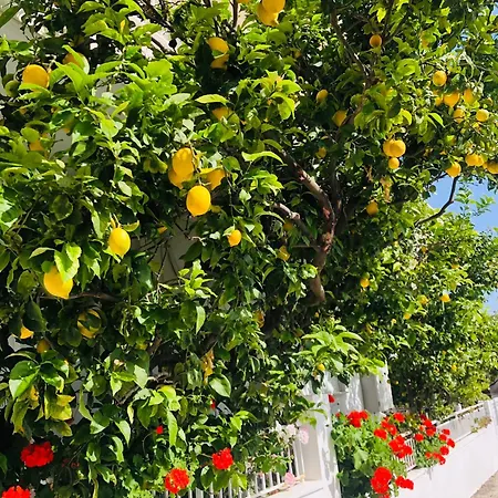 Vakantiehuis Lemon Tree's House Kalavárda