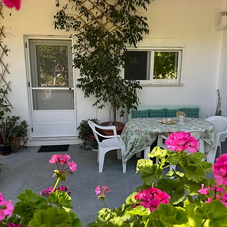 Lemon Tree's House Дом отдыха *