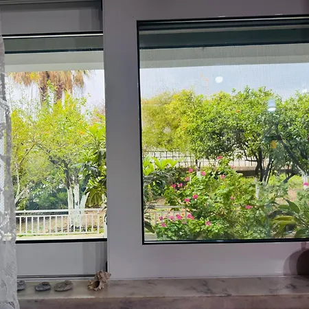 Lemon Tree's House בית נופש *