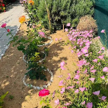 Vakantiehuis Lemon Tree's House Kalavárda