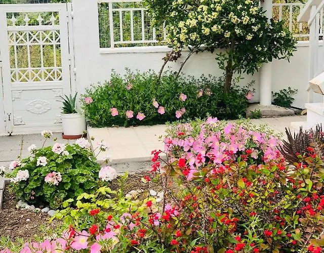 Lemon Tree's House Дом отдыха Kalavarda