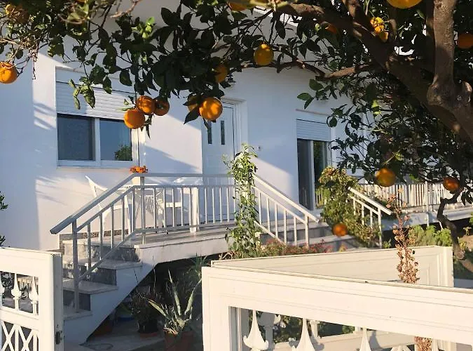 Lemon Tree's House 펜션