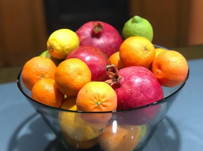 펜션 Lemon Tree's House