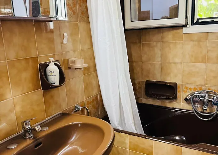 Lemon Tree's House *