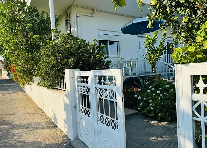 Lemon Tree's House