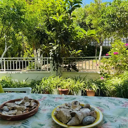 Lemon Tree's House Kalavarda
