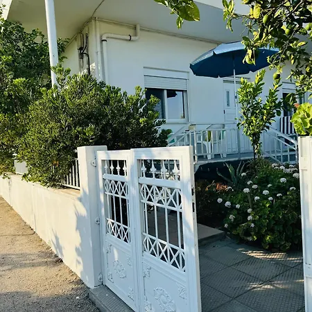 Lemon Tree's House