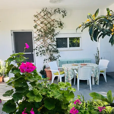 Lemon Tree's House Ferienhaus *