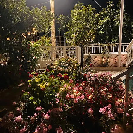 Lemon Tree's House Holiday home *