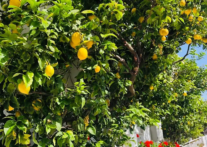 بيت للعطل Lemon Tree's House Kalavárda