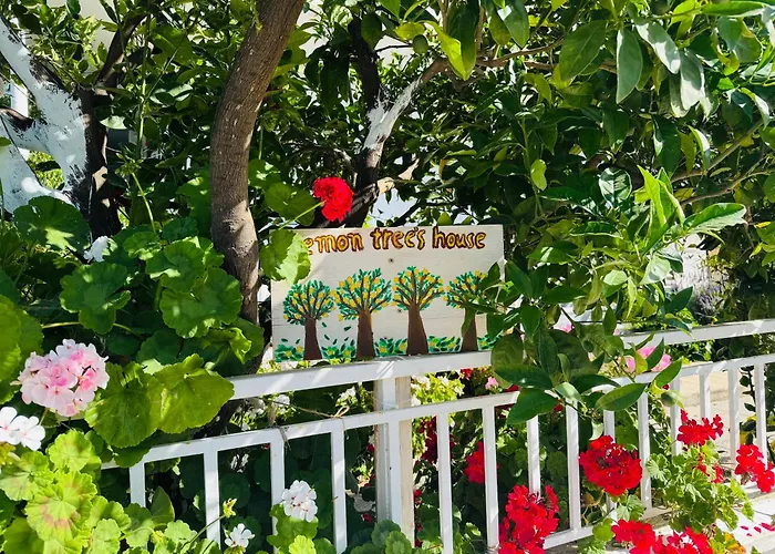 Lemon Tree's House *