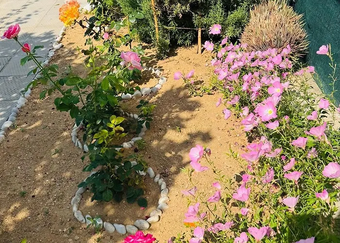 Tatil Evi Lemon Tree's House Kalavárda